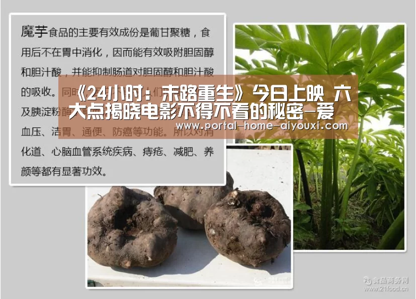 《24小时:末路重生》今日上映 六大点揭晓电影不得不看的秘密-爱游戏体育(图1) 爱游戏官方