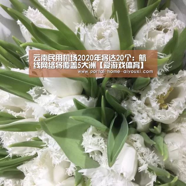 云南民用机场2020年将达20个:航线网络将覆盖5大洲【爱游戏体育】(图2) APP入口