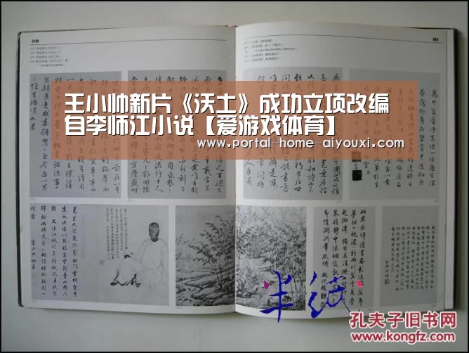 爱游戏官网