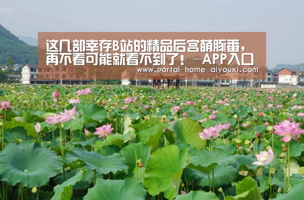 这几部幸存B站的精品后宫萌豚番,再不看可能就看不到了!-APP入口(图4) APP入口