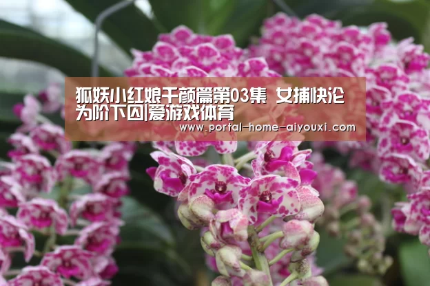 爱游戏官网